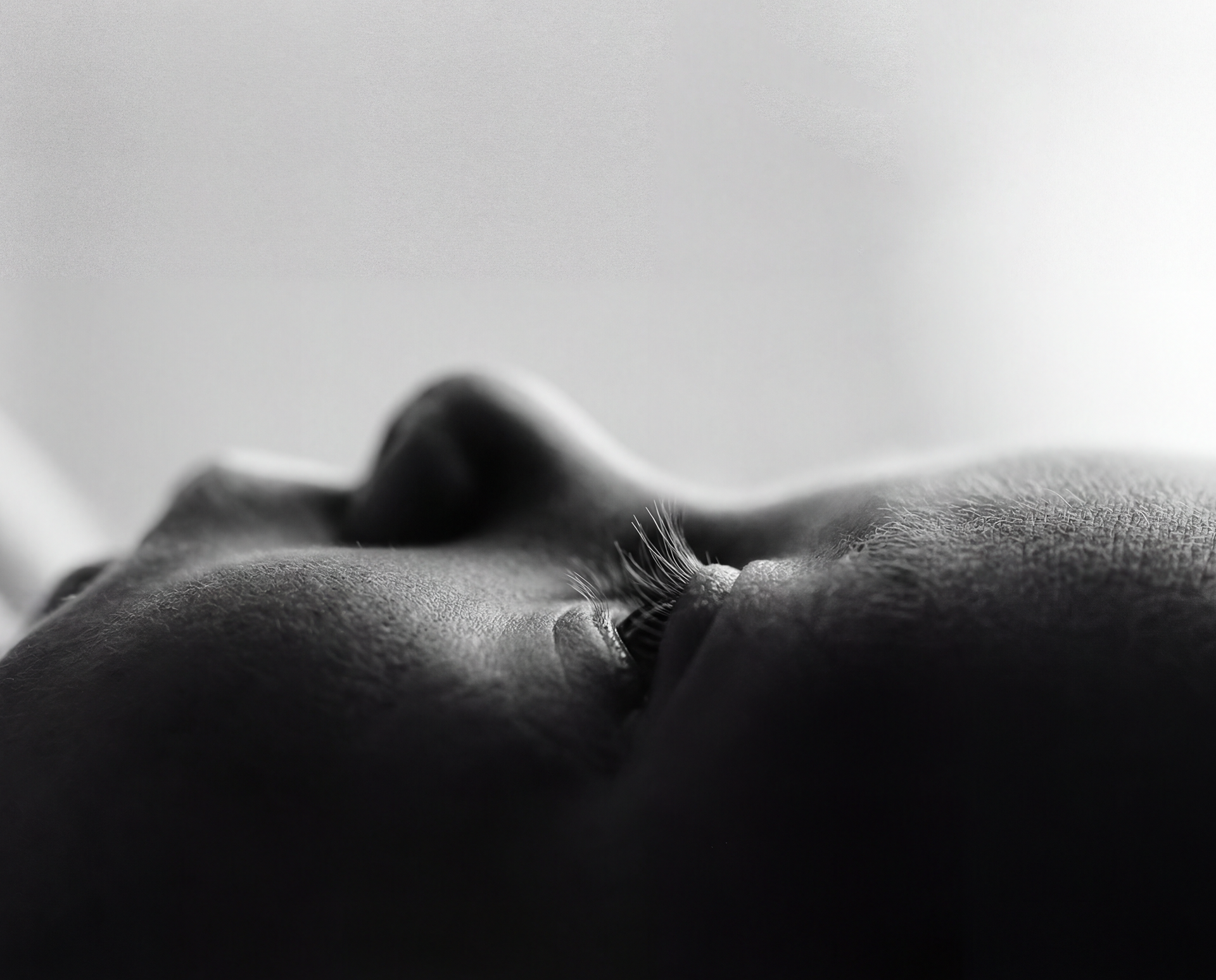 Detalle en blanco y negro del perfil de un recién nacido durante una sesión de fotografía newborn en Getafe Madrid